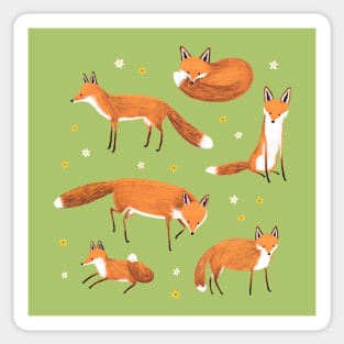 Red Foxes Sticker